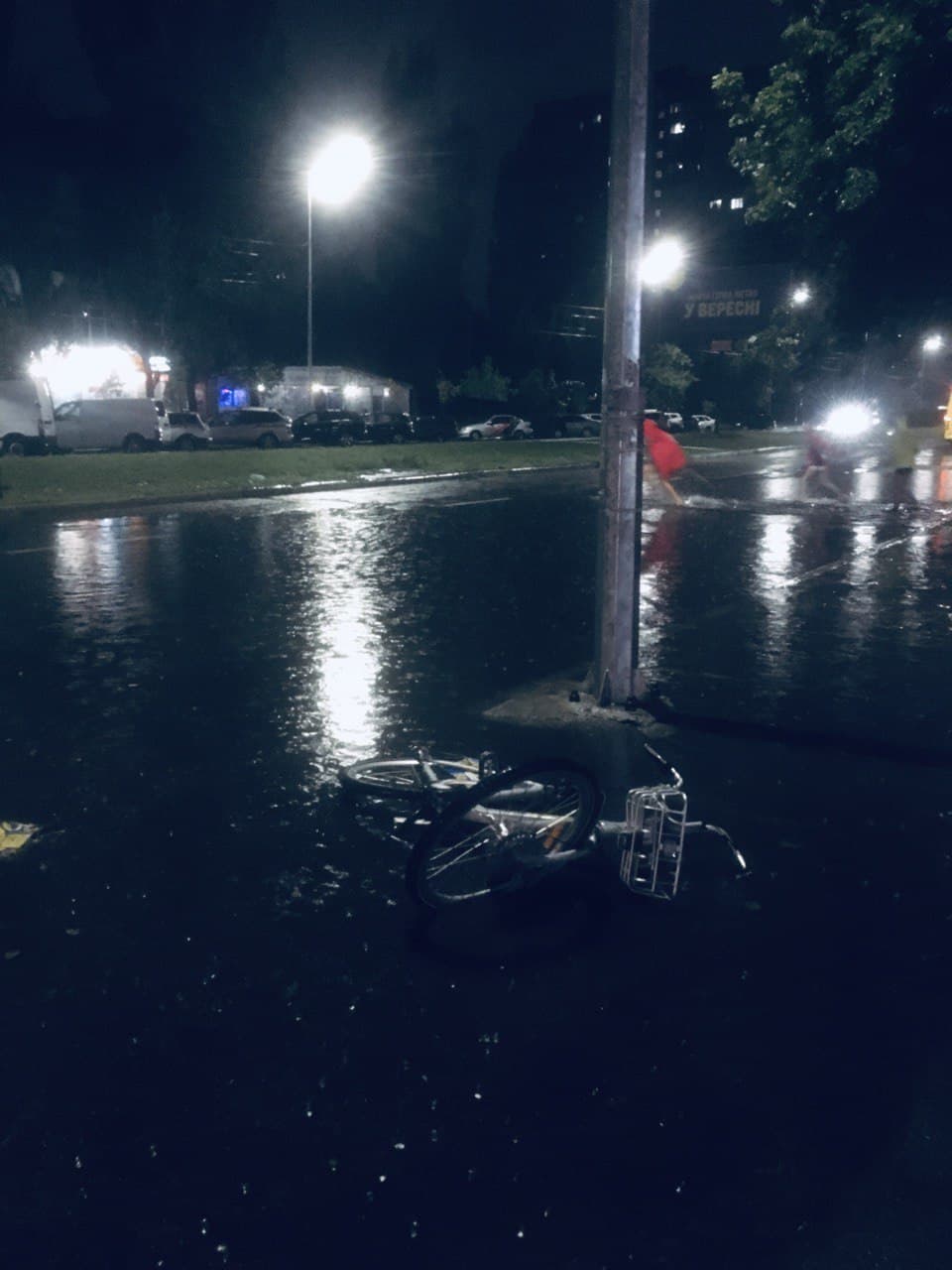 В Киеве мощный ливень затопил город и повалил деревья: фото и видео ненастья