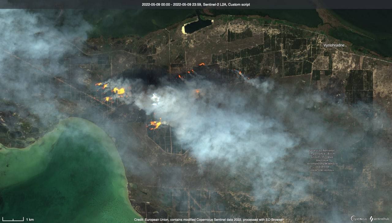 Оккупанты уничтожают уникальный заповедник под Херсоном: фото путинского преступления
