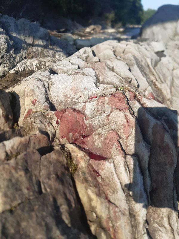 На Прикарпатье ребенок упал с аварийного моста в реку (фото)