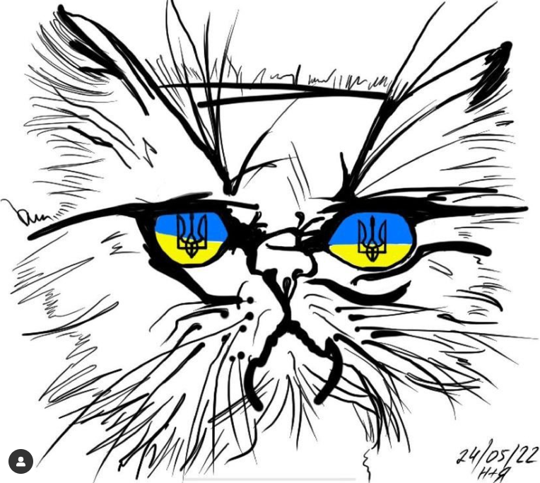 Кошка Шафа из Бородянки уже со своей настоящей хозяйкой: милые фото знаменитого пушистика