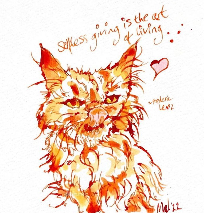 Кошка Шафа из Бородянки уже со своей настоящей хозяйкой: милые фото знаменитого пушистика