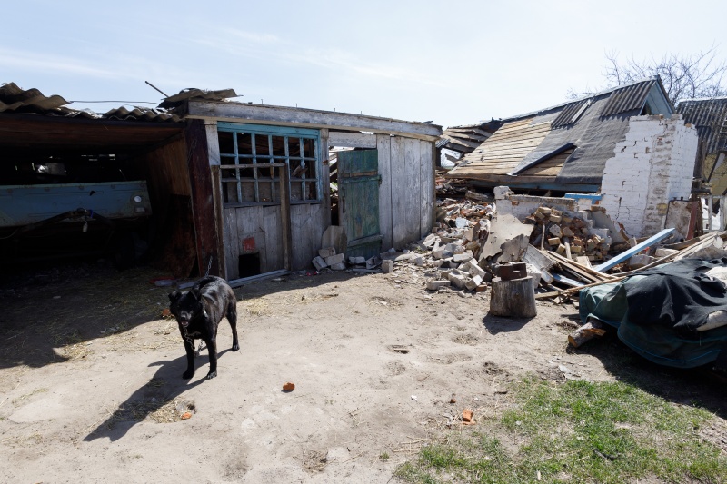 "Путін – це ірод". Як села під Гостомелем та Бородянкою пережили російську окупацію