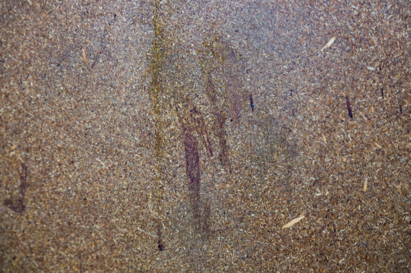 "Путін – це ірод". Як села під Гостомелем та Бородянкою пережили російську окупацію