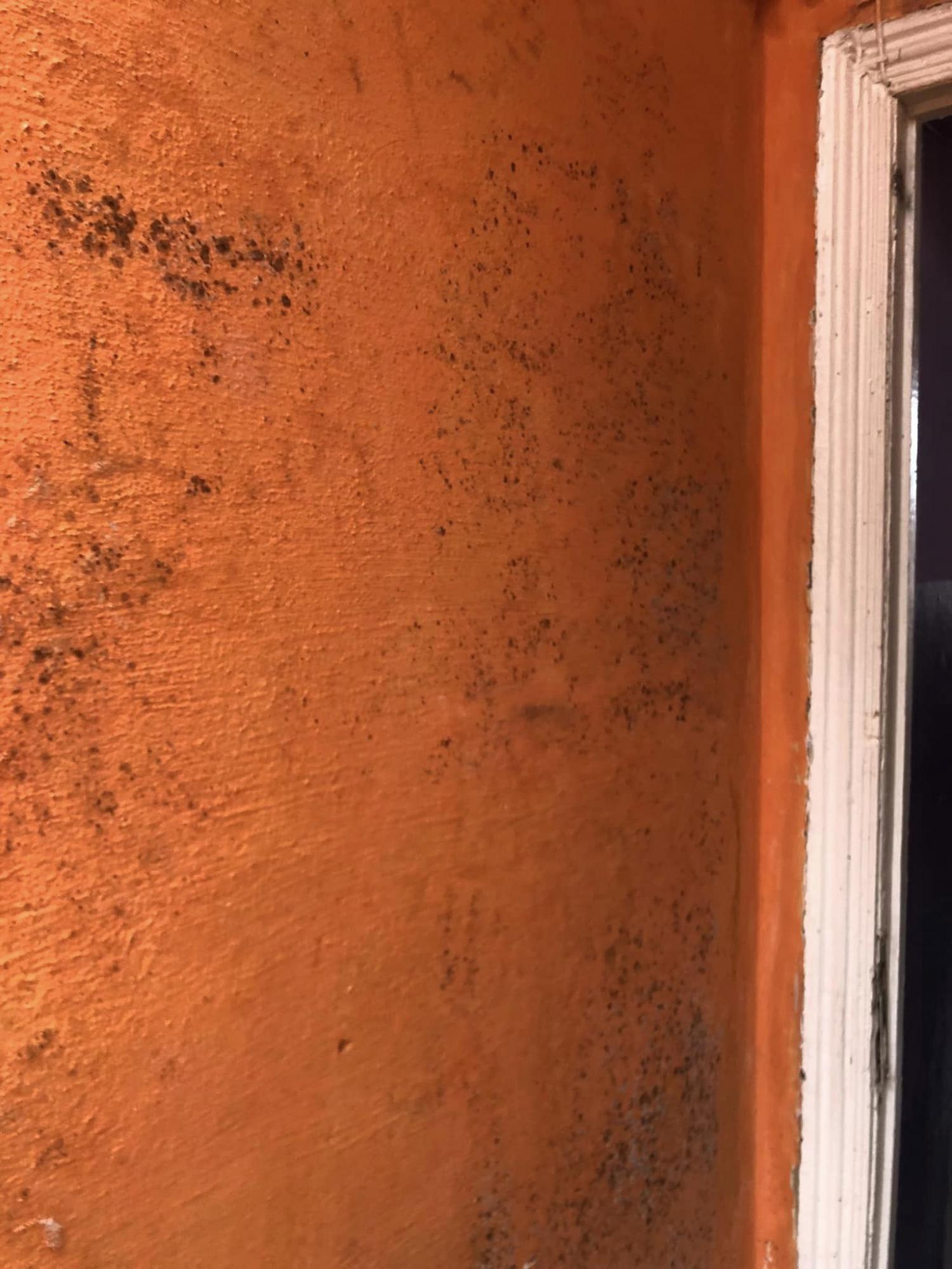 "Дітей водити страшно". На Полтавщині показали садочок за 10 мільйонів гривень (фото і відео)