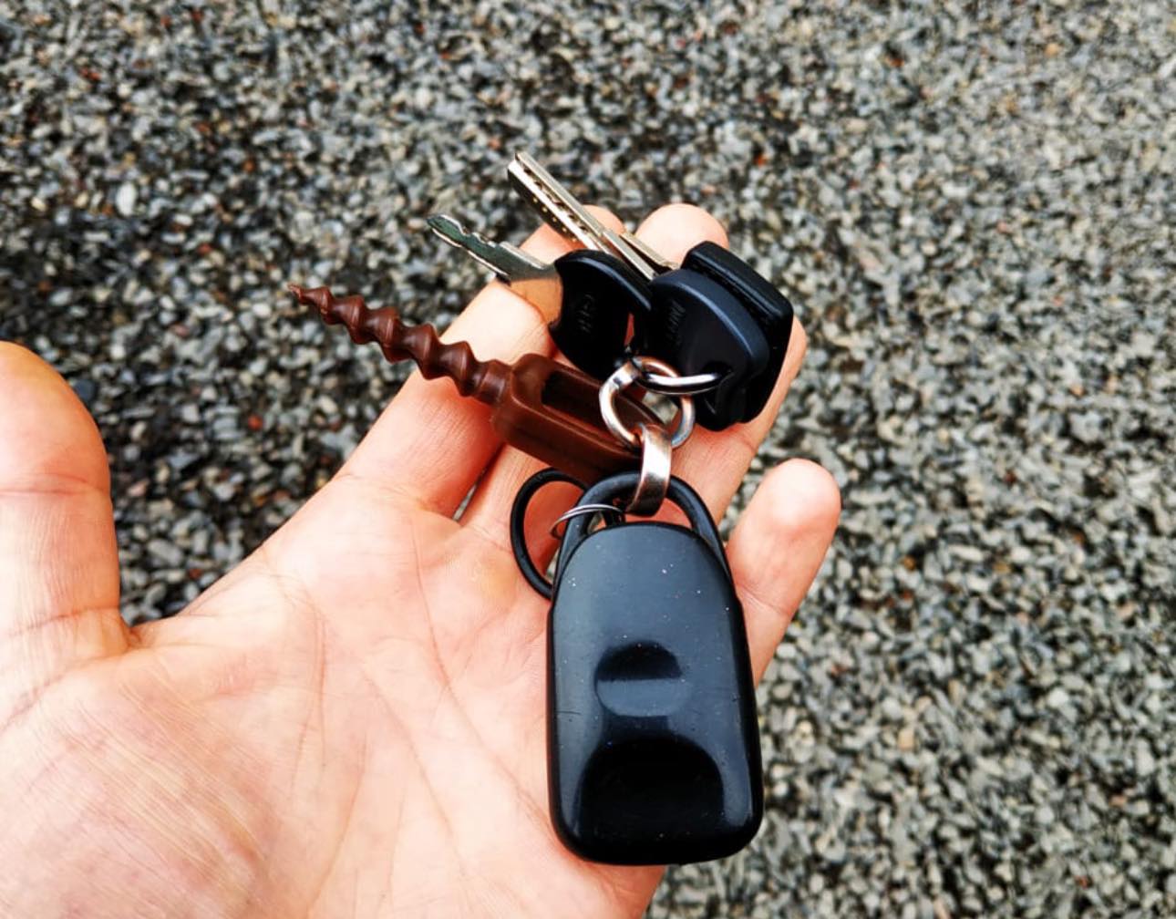 В Ужгороде военкомы посреди ночи мобилизовали водителя автобуса, который вез детей на соревнование