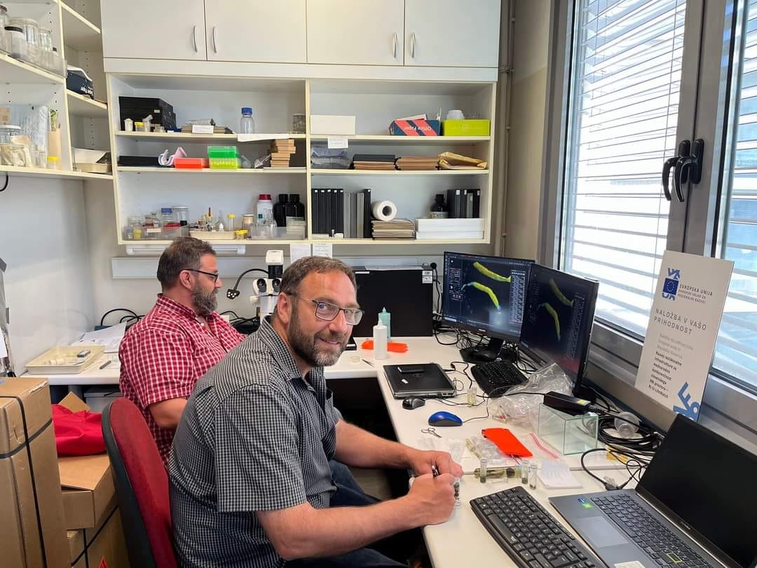 Украинские ученые нашли новый вид существ в Антарктике: детали открытия