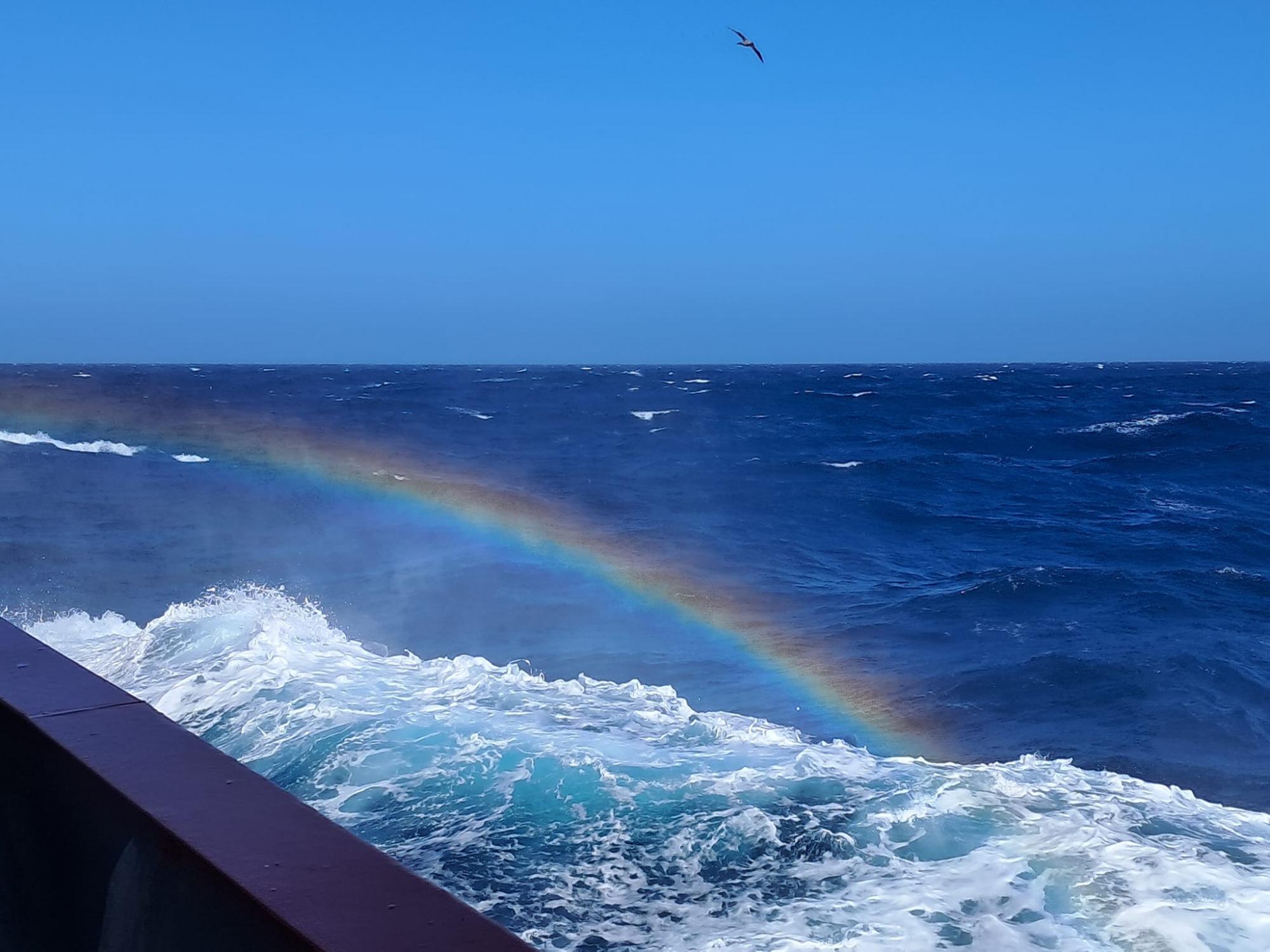 Українські полярники показали величезний айсберг в Антарктиці: неймовірні фото
