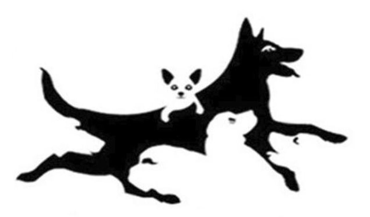 Тест, який визначить ваш справжній психологічний вік: просто порахуйте собак