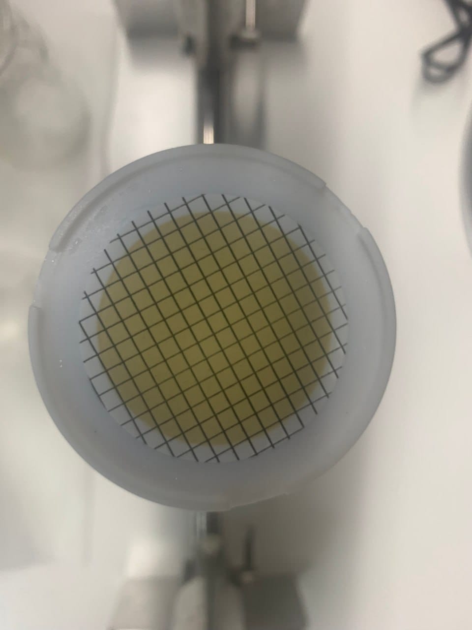 Українські вчені виявили раптове зростання хлорофілу в океані: до чого це призведе