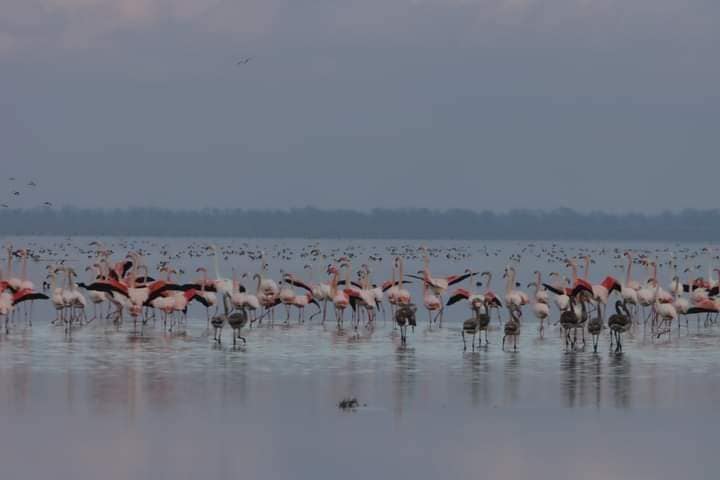 Справжнє диво: під Одесою море неймовірним способом з'єдналося з водоймами