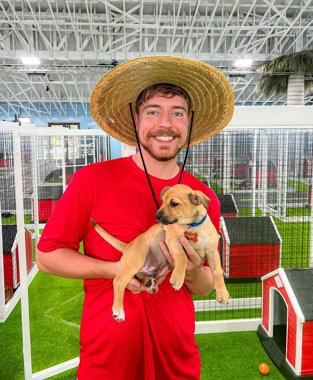 MrBeast потрапив у гучний скандал: у відео про Україну "забув" згадати про війну