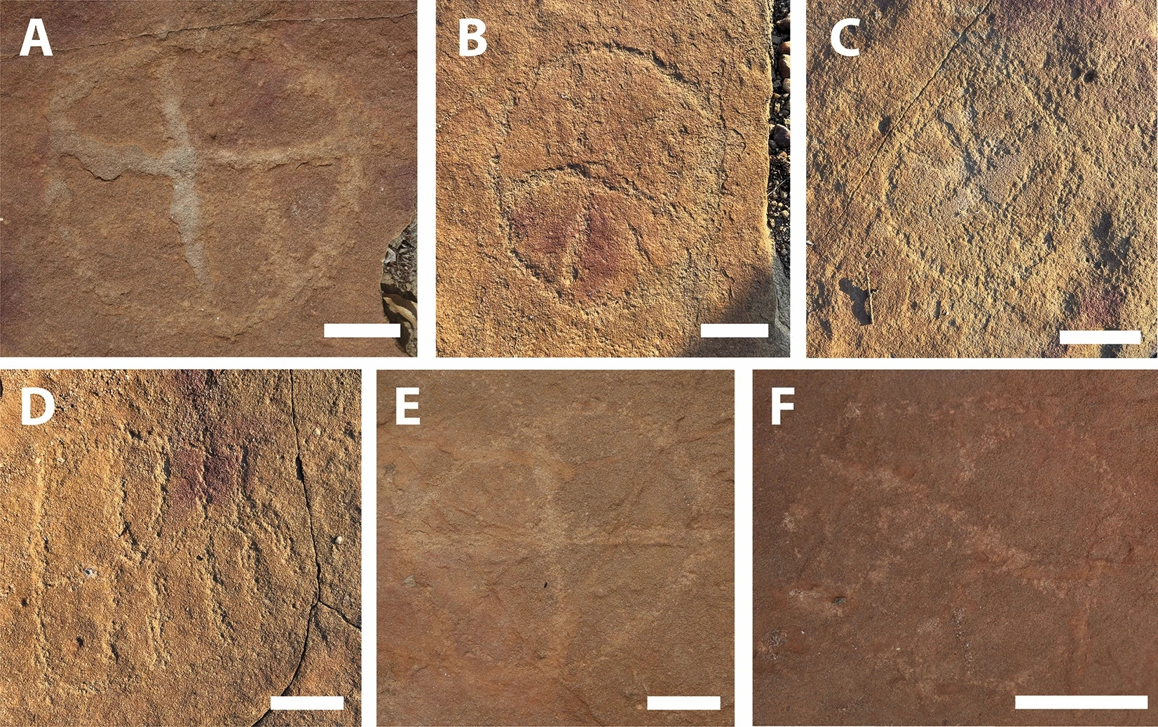 Ученые впервые обнаружили живопись древних людей рядом со следами динозавров