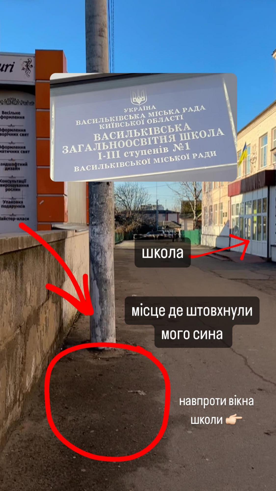 В школе под Киевом ребенка сбросили с высоты, а директор "умывает руки": детали скандала и видео