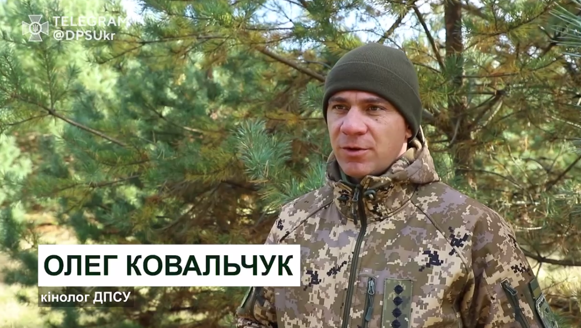 Пес із GPS: в Україні показали, як готують чотирилапих прикордонників (відео)