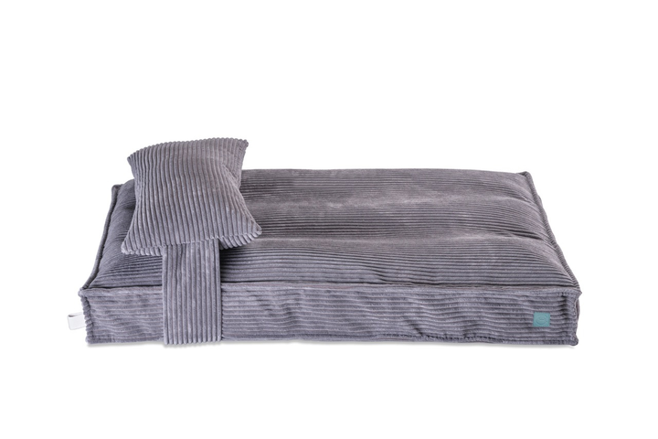 5 аксесуарів для собак, які реально зроблять життя комфортнішим