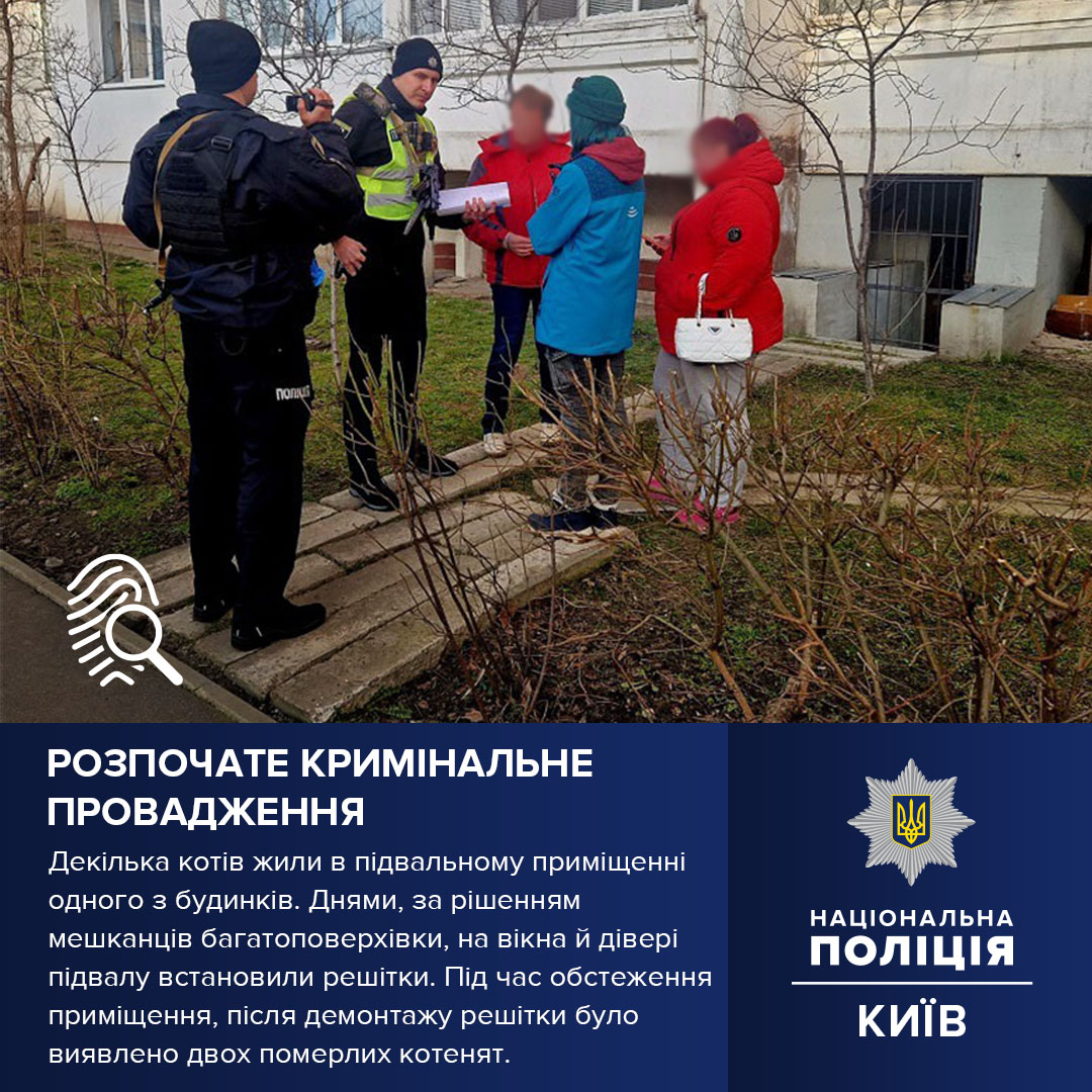 В Києві мешканці будинку спеціально зачинили підвал з котами: всі тварини померли