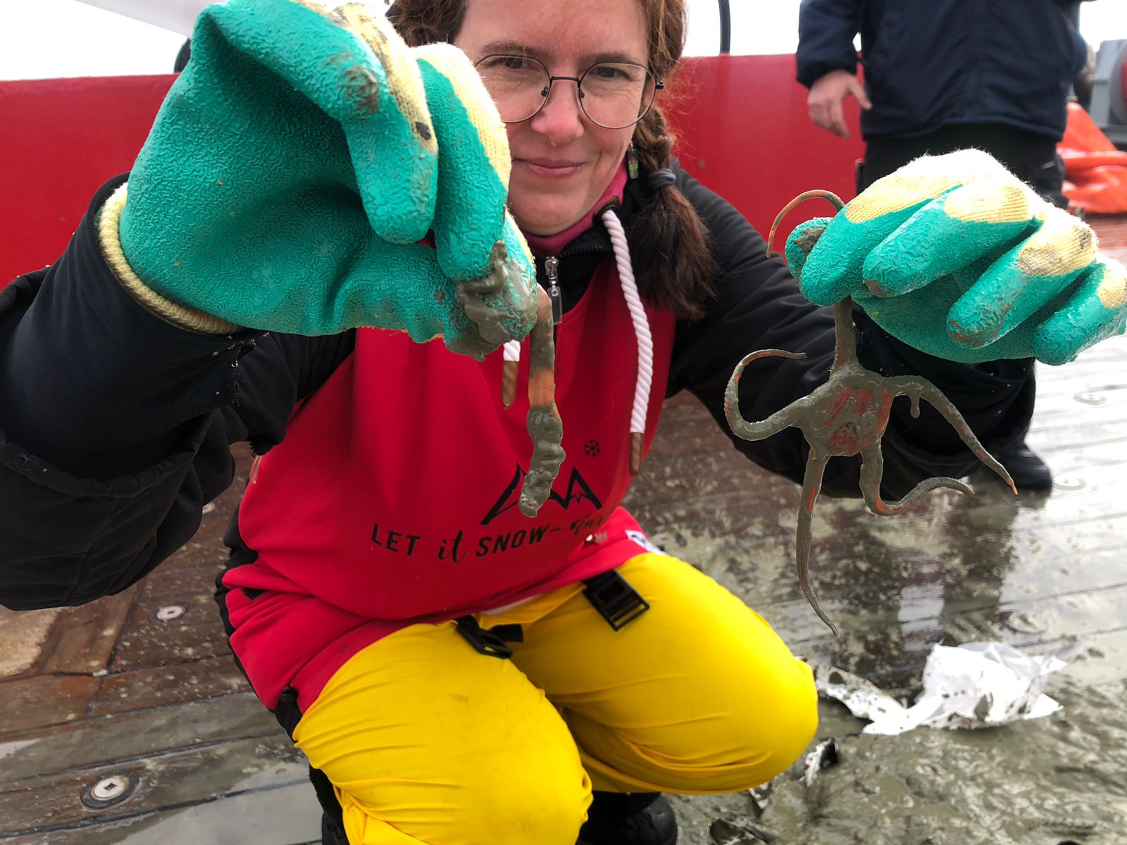 Українські полярники показали морську фауну з дна Південного океану: захоплюючі фото