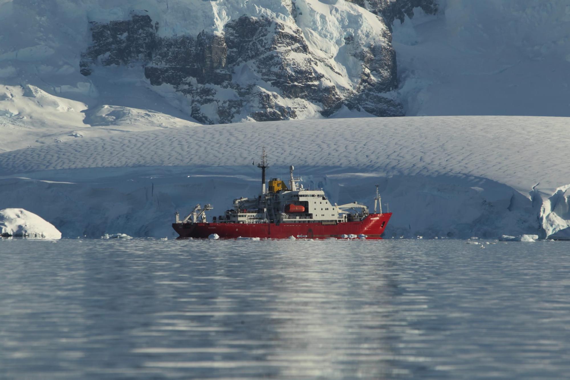 Не досліджені у світі: українські полярники показали фото рідкісного кита