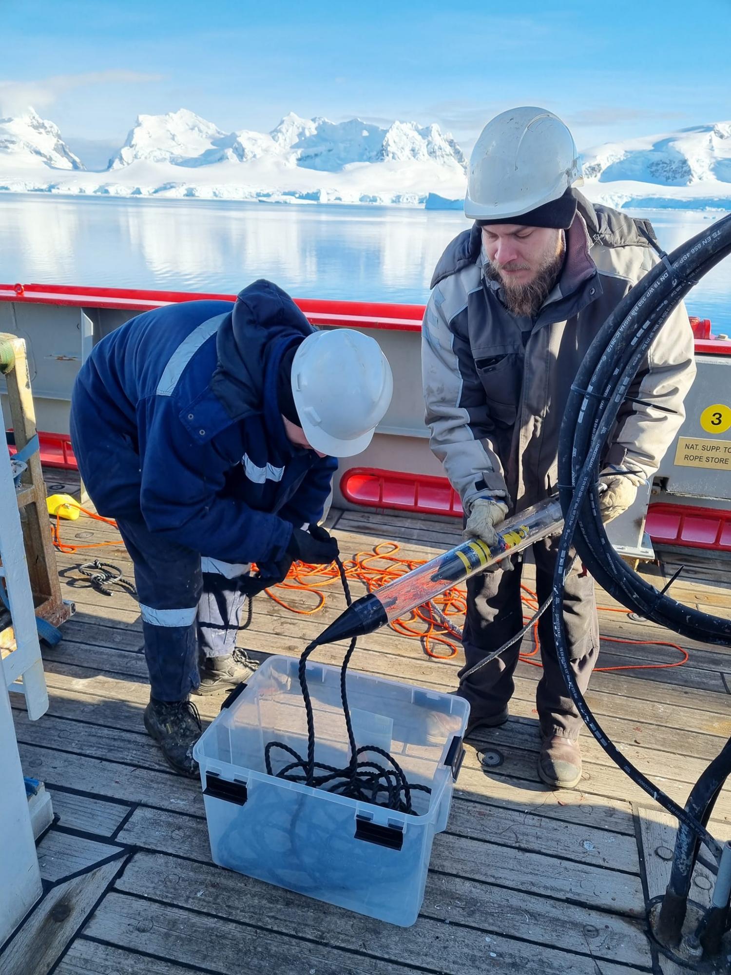 Не досліджені у світі: українські полярники показали фото рідкісного кита