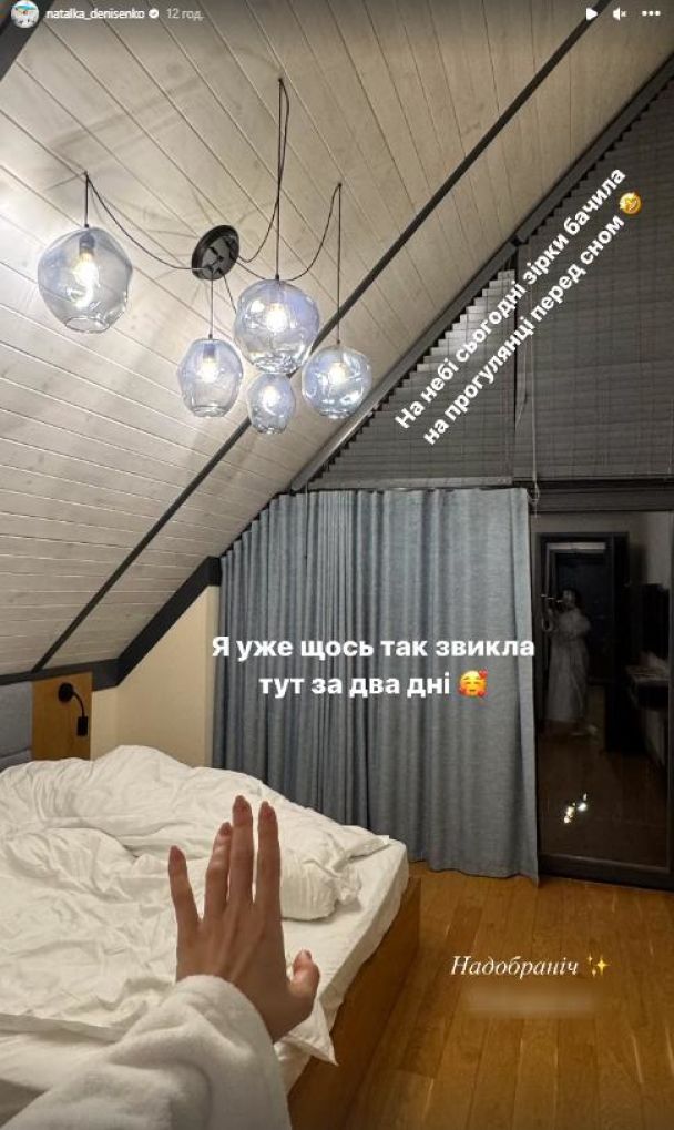 Наталка Денисенко у купальнику блиснула підтягнутою фігурою на тлі зимових Карпат (фото)