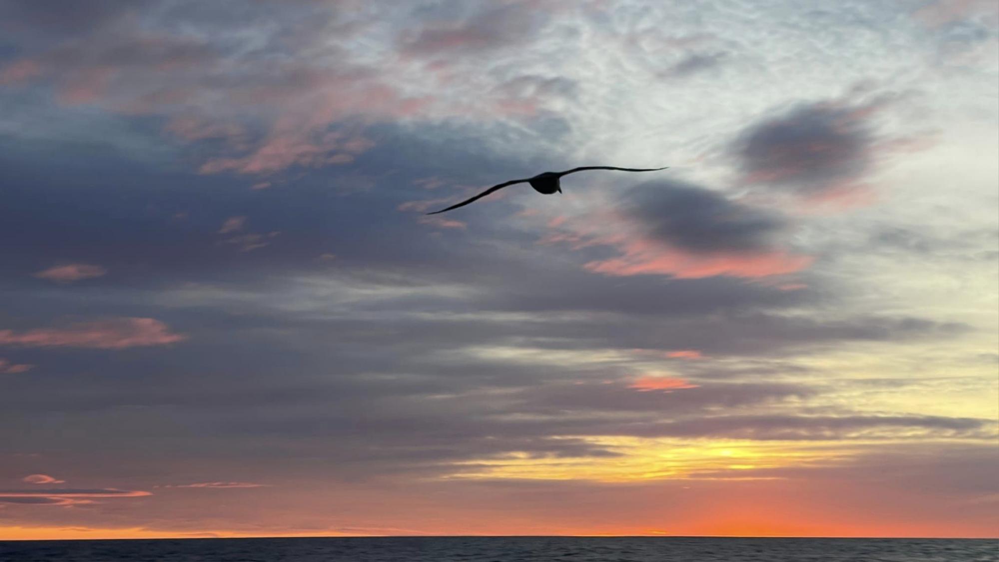 Полярники вразили кадрами заходу сонця на Атлантичному морі: унікальні фото