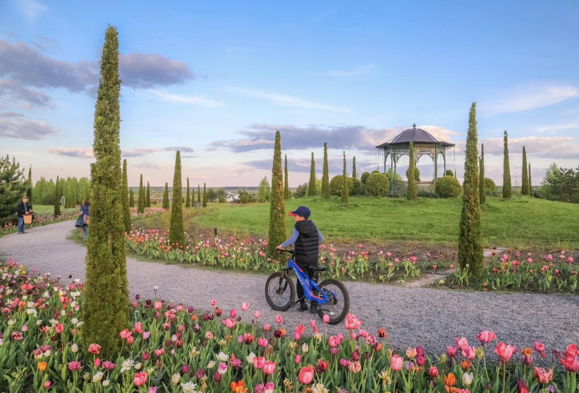 Парки та етнокомплекси. Де недорого відпочити поблизу Києва: яскраві ідеї