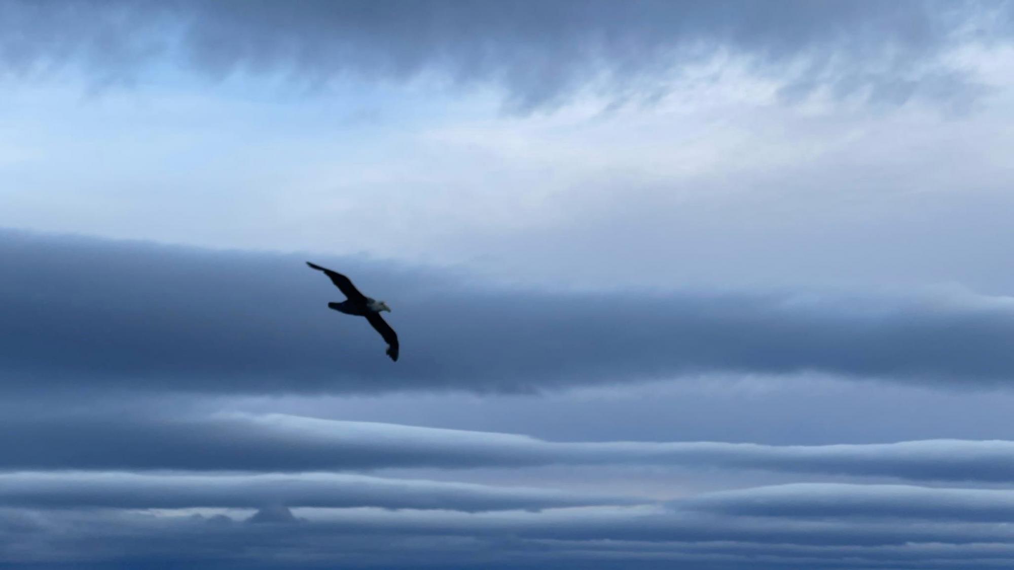 Полярники вразили кадрами заходу сонця на Атлантичному морі: унікальні фото