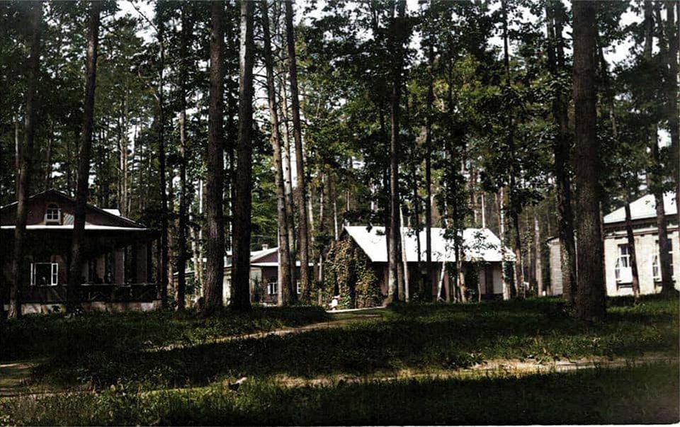 Із залізничною станцією та елітними дачами. Як виглядала столична Дарниця 100 років тому