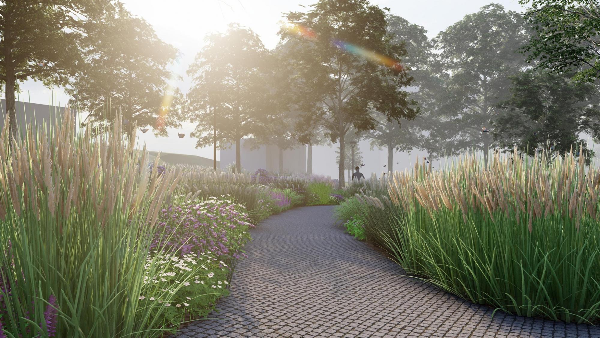 З ароматравами і дощовим садом. Дивіться, як зміниться Павлівський сквер у Києві (фото)