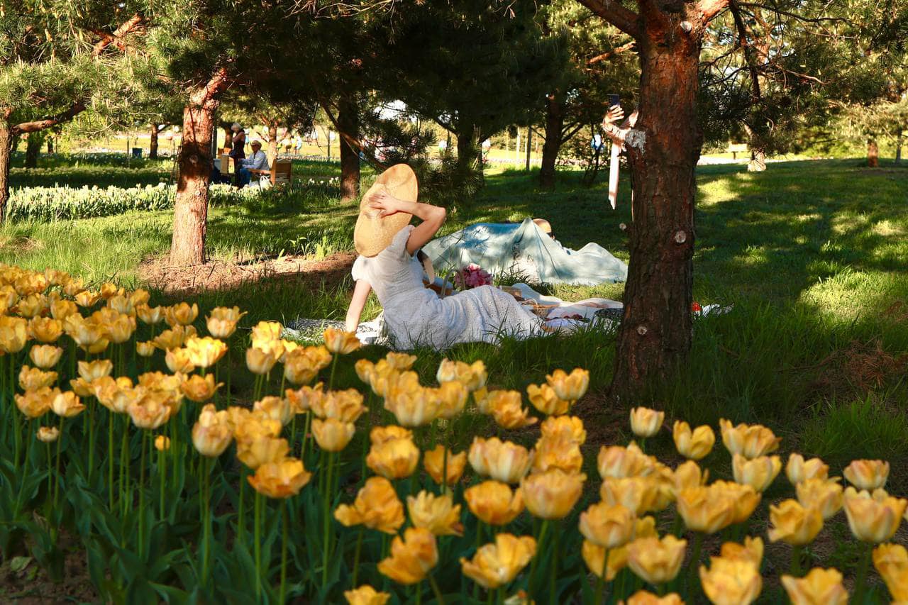 Парки та етнокомплекси. Де недорого відпочити поблизу Києва: яскраві ідеї