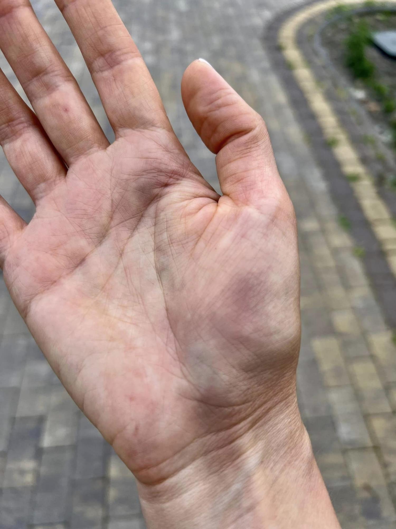 Лифт стал ужасной ловушкой для собаки: владельцам животных дали важный совет