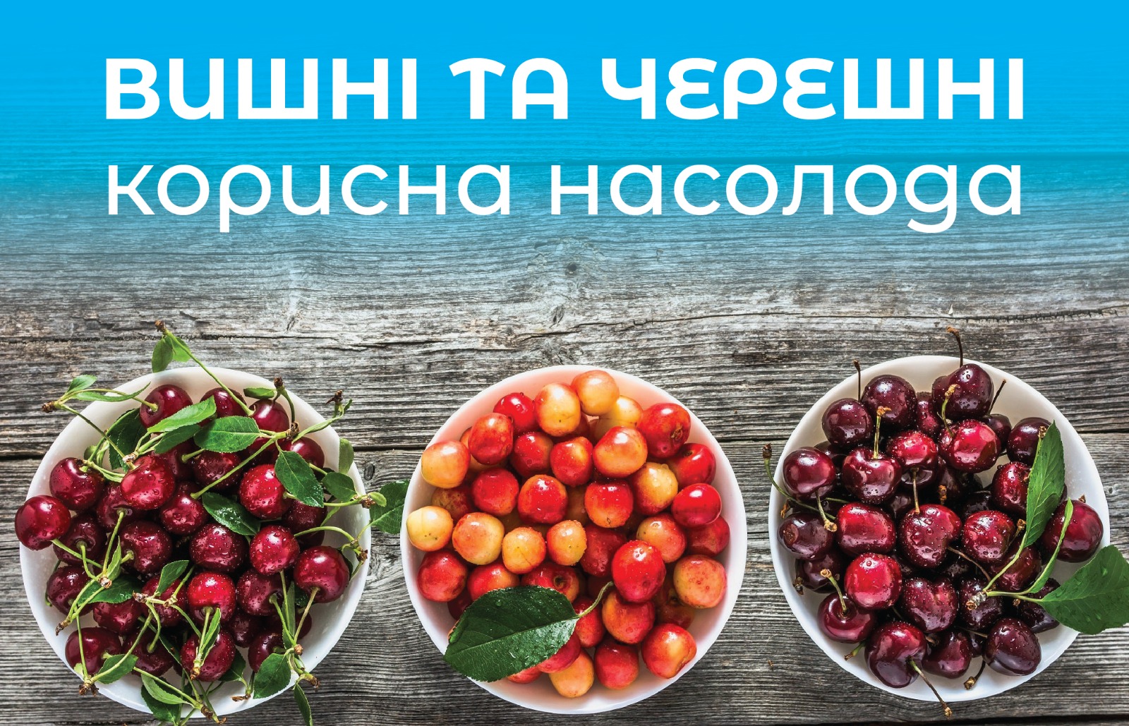 Вишні та черешні. Чому обов'язково треба їсти в сезон цю "корисну насолоду"