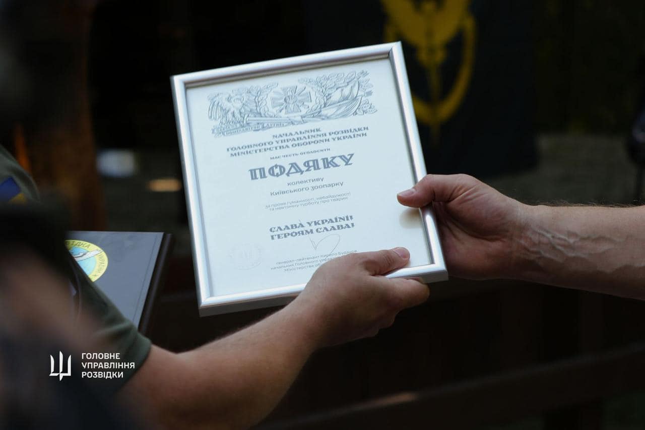 "Штатные" совы ГУР поселятся в Киевском зоопарке. Невероятная история спасения птиц (фото)