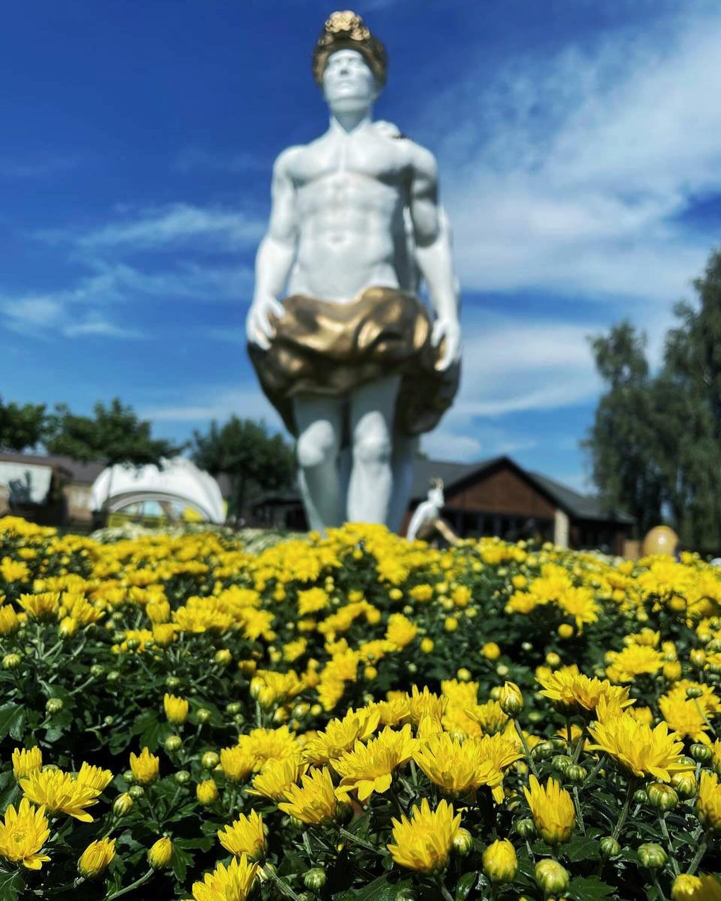 Під Києвом відкрилася фантастична виставка квітів: як туди потрапити з сім'єю