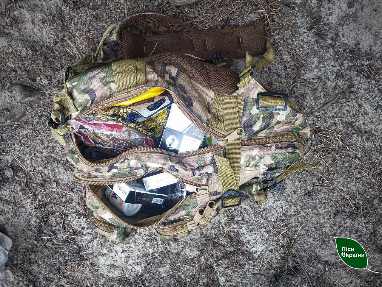 Поджигал лес возле объектов критической инфраструктуры: в Сумской области разоблачили поджигателя