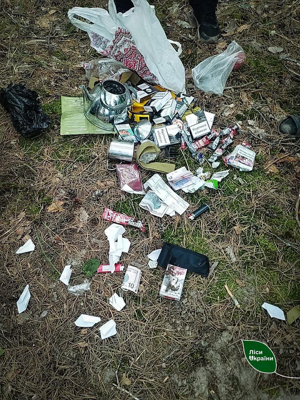 Поджигал лес возле объектов критической инфраструктуры: в Сумской области разоблачили поджигателя