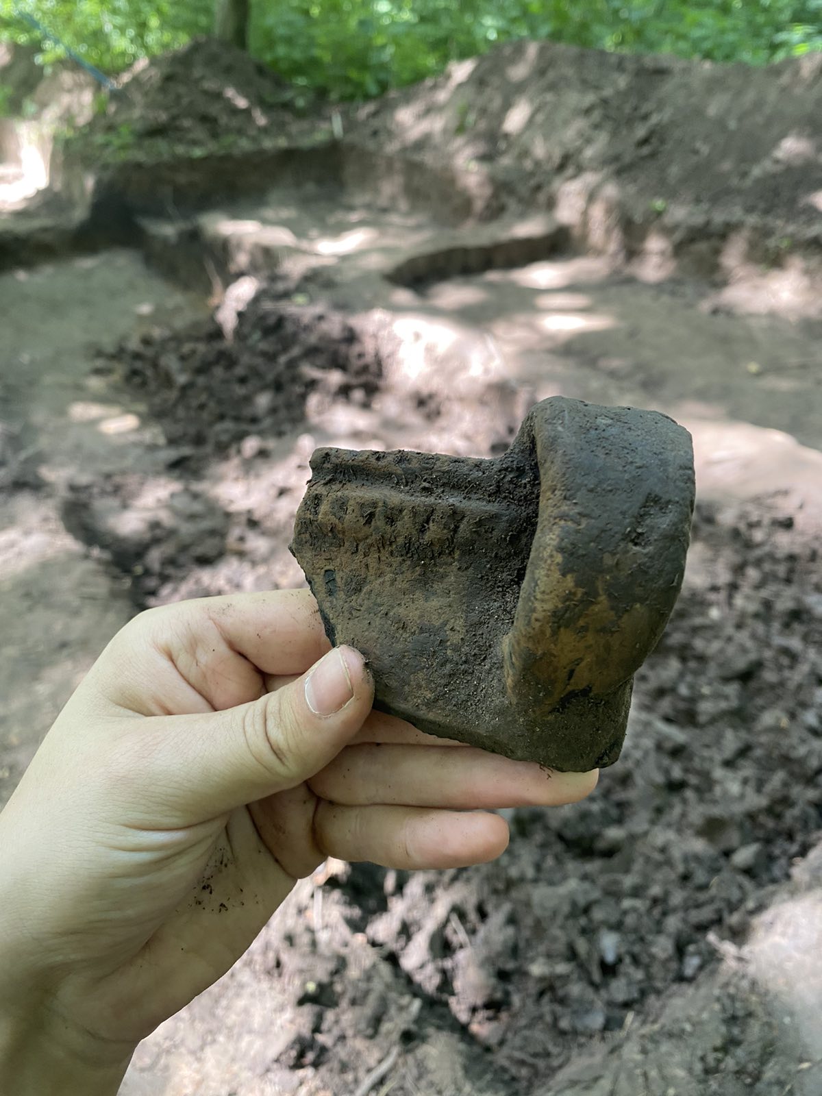 Археологи возле Львова нашли уникальный музыкальный инструмент, которому более 5000 лет