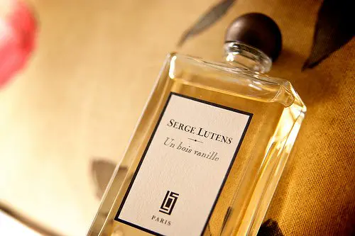 10 найкращих жіночих парфумів на осінь 2025: аромати, що закохують із першої ноти