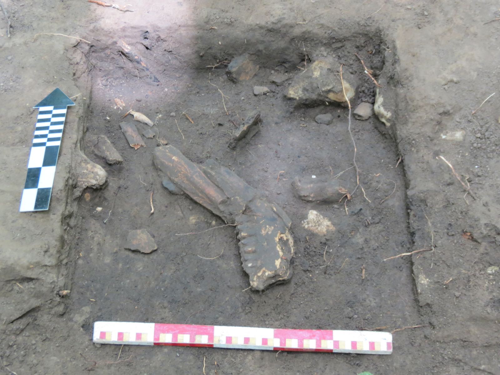 Археологи возле Львова нашли уникальный музыкальный инструмент, которому более 5000 лет