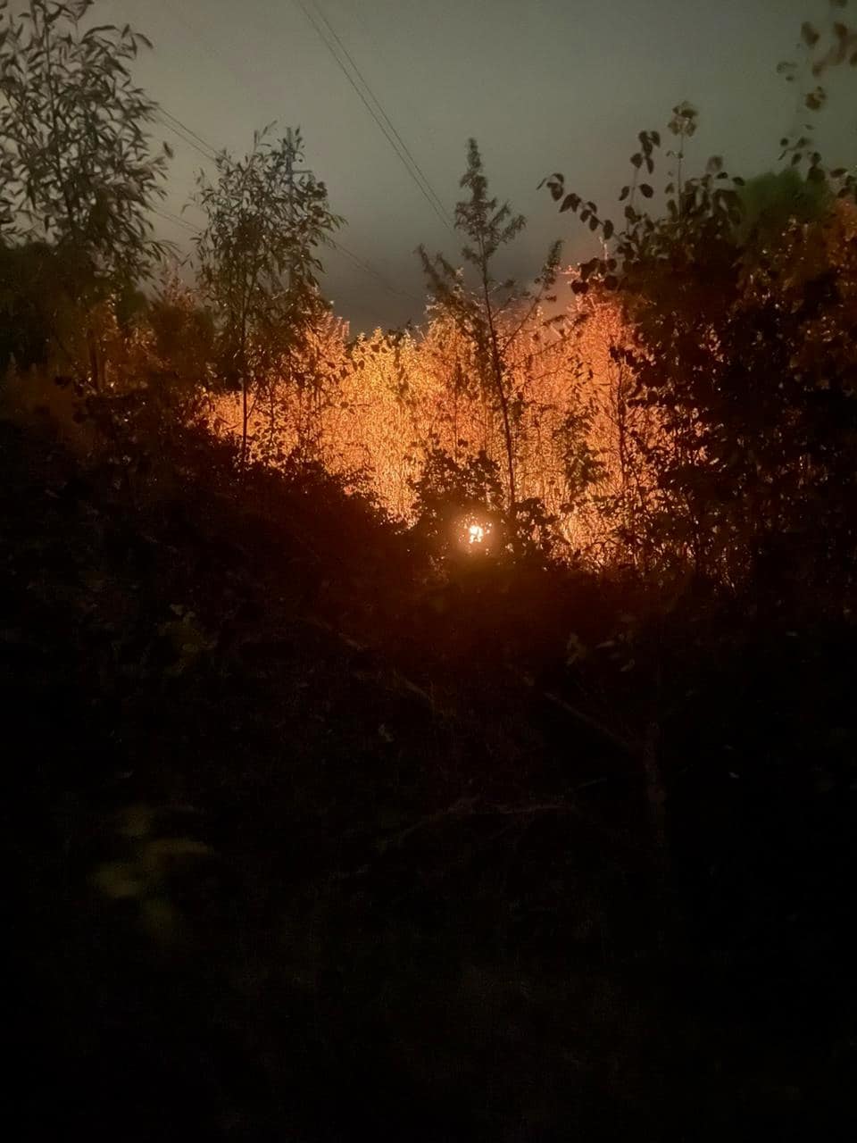 Атака дронів на Київ: в одному з районів сталася пожежа (фото)