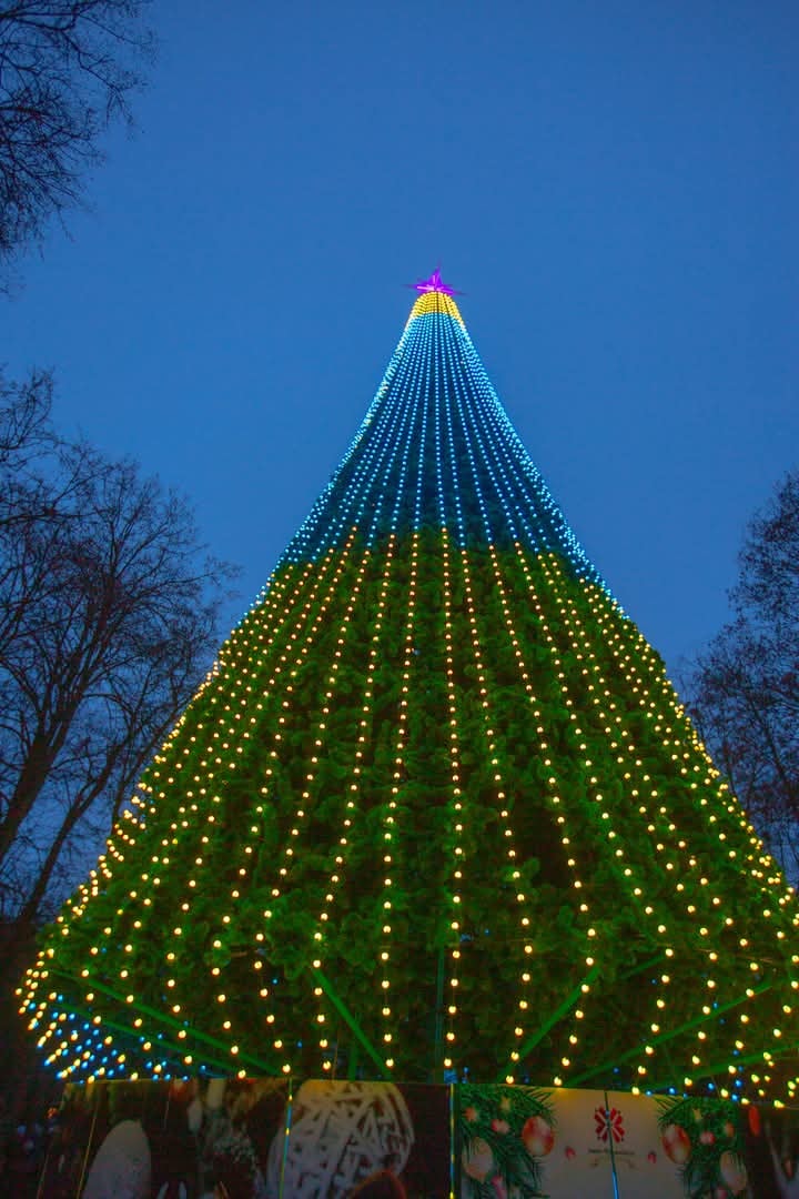 Новий рік 2025. Який вигляд мають головні ялинки в різних містах України (фото)