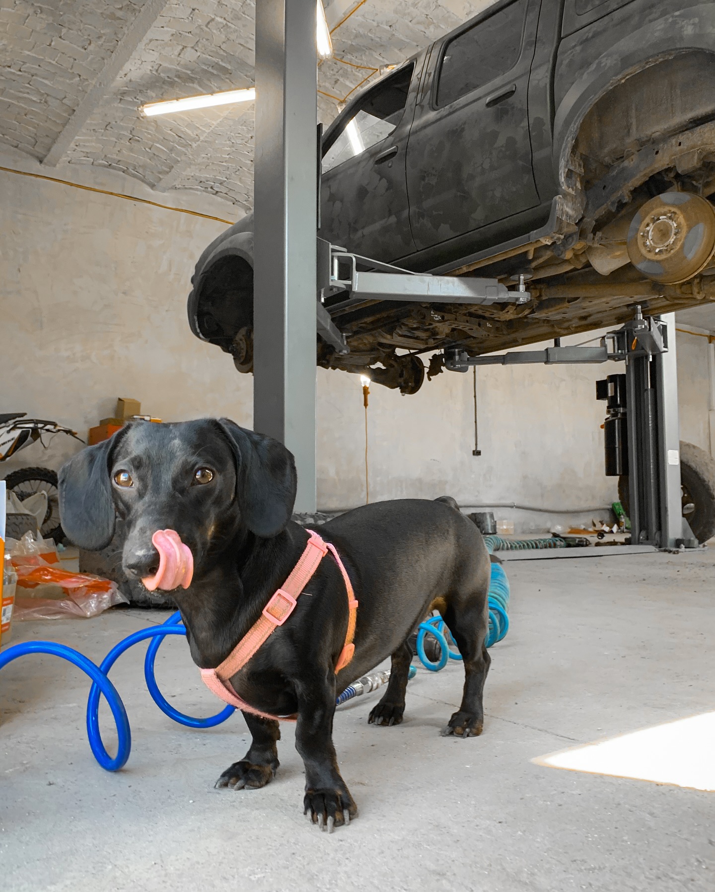 Лайфхаки від підприємиць: 5 порад від українок, які збудували успішний бізнес з нуля