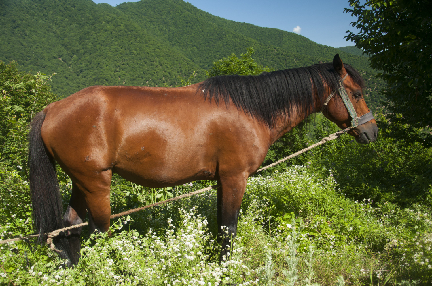 Свято сьогодні, 31 травня: що не можна робити, у кого День ангела, народні прикмети