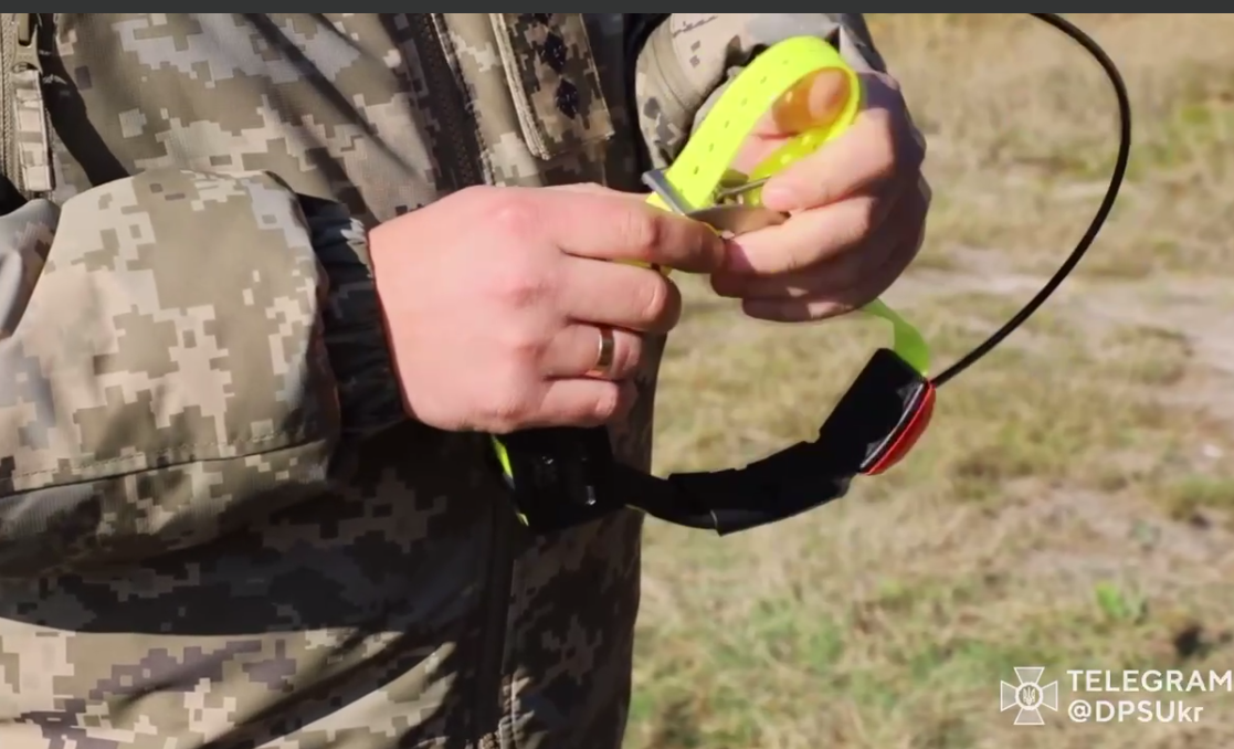 Пес із GPS: в Україні показали, як готують чотирилапих прикордонників (відео)