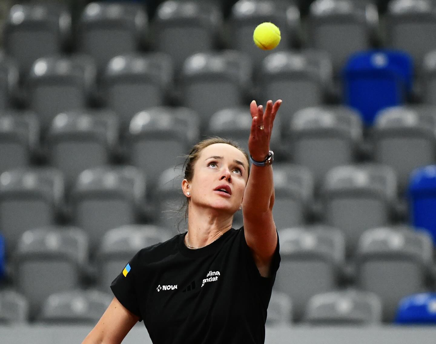 Почему Свитолина - №1 среди украинских теннисисток: факты, говорящие сами за себя