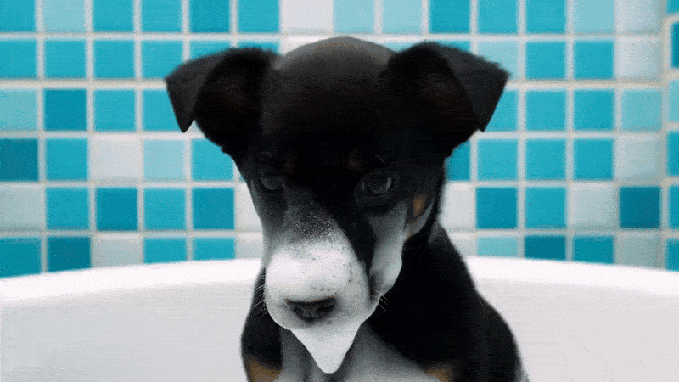 Google представила нейромережу на базі ШІ: чим вона унікальна