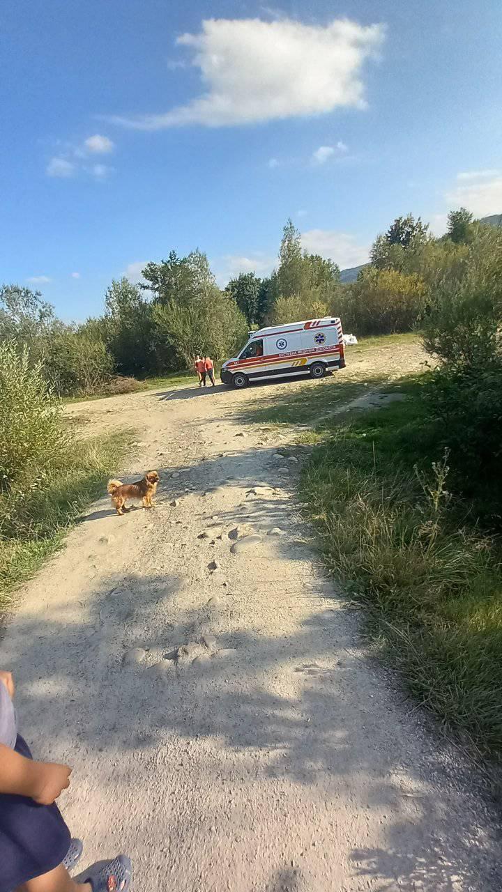 На Прикарпатье ребенок упал с аварийного моста в реку (фото)