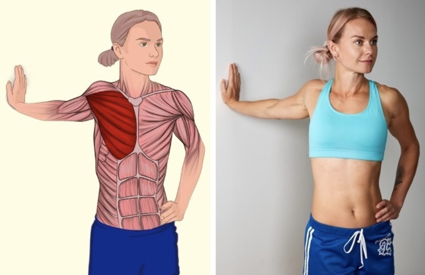 Как стать гибкой, как кошка. 5 простых упражнений для растяжки