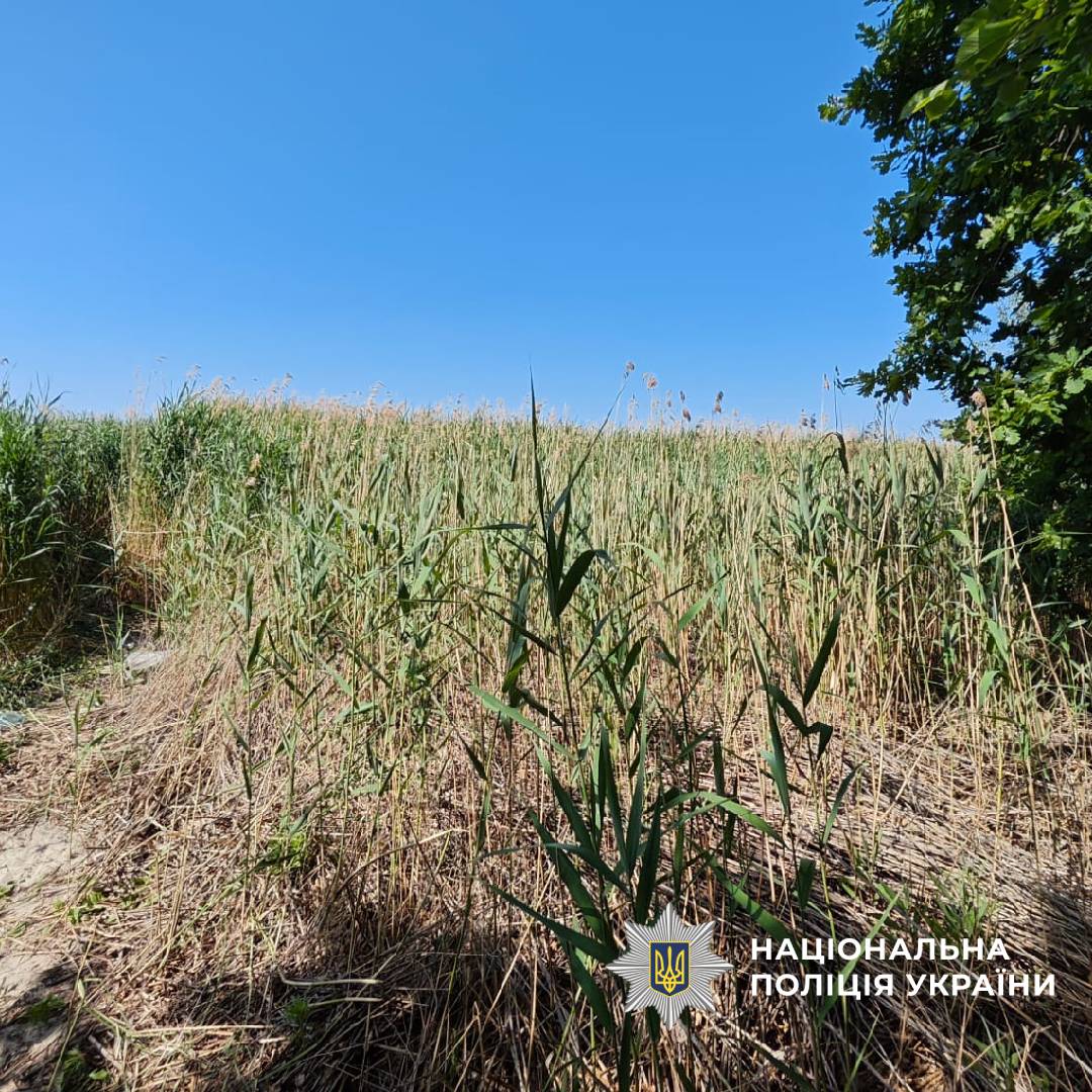 У Харківській області пенсіонер під час відпочинку підірвався на невідомому предметі