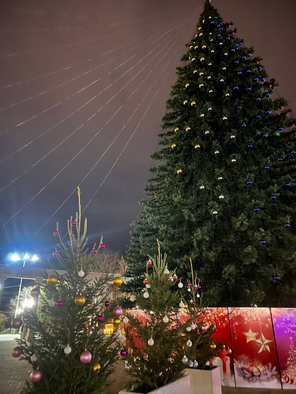 У Керчі встановили ялинку з українською символікою: окупанти казяться від злості (фото)